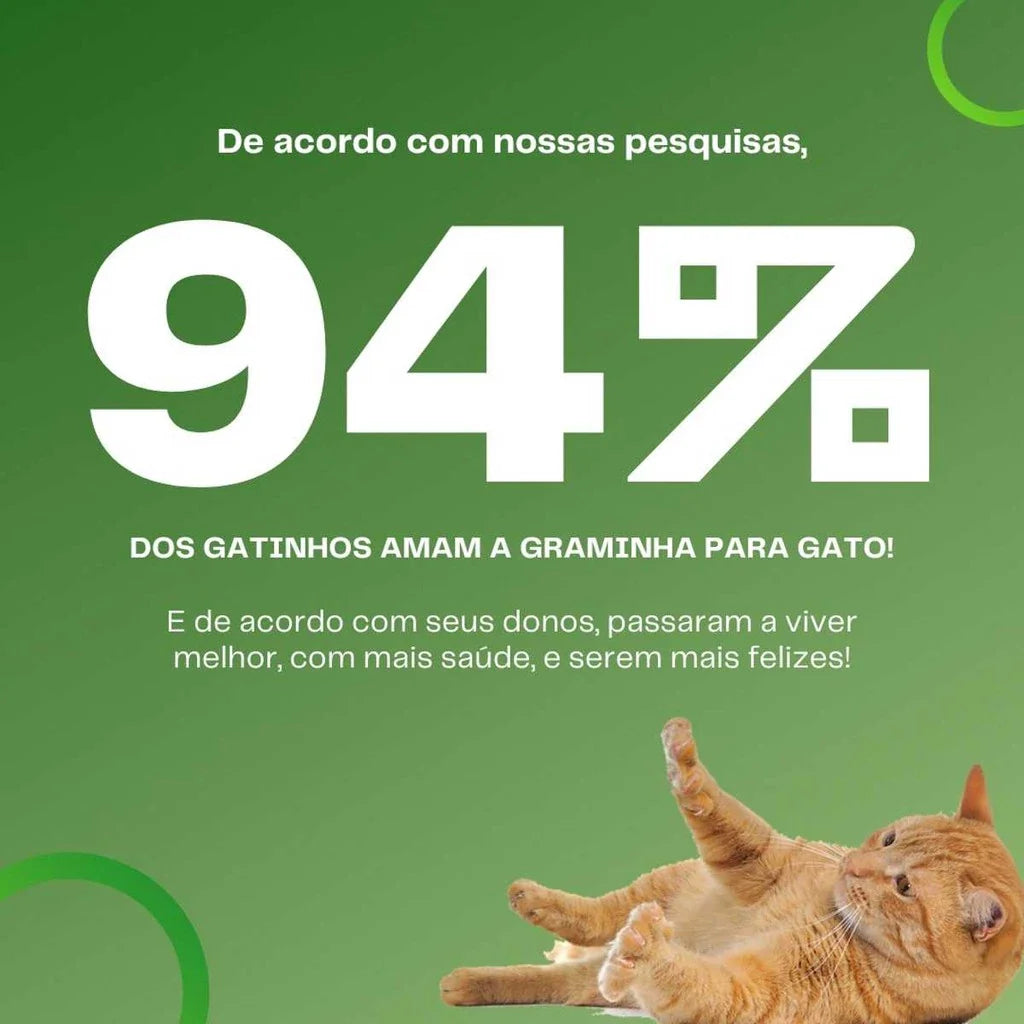 Graminha Natural para Gatos – Estímulo e Bem-Estar no Mesmo Pote + Frete grátis