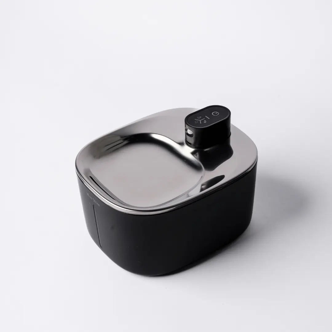 Fonte Inox Flow Wireless™ – Bebedouro Premium sem Fio