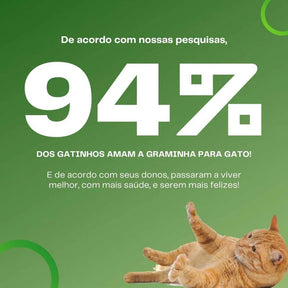 Graminha Natural para Gatos – Estímulo e Bem-Estar no Mesmo Pote + Frete grátis